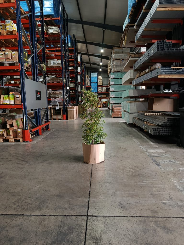 Paletes MVASCONCELOS