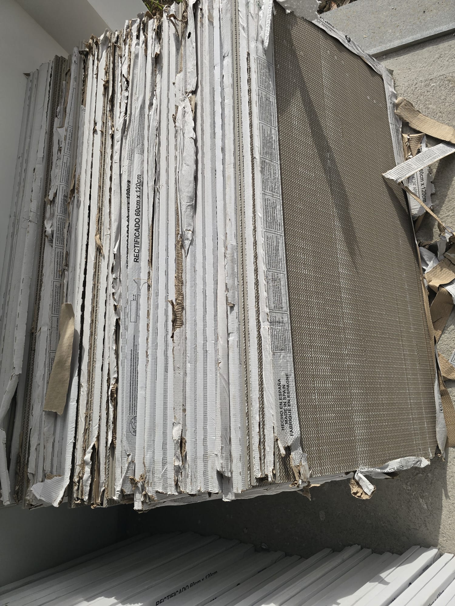 Fotos A Anexar: WhatsApp Image 2026 01 20 At 15.54.43