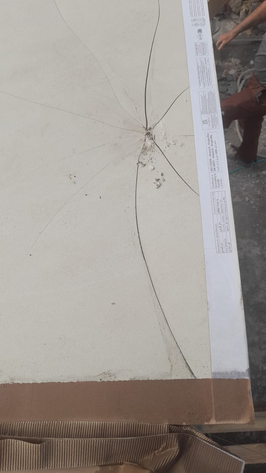 Fotos A Anexar: WhatsApp Image 2026 03 02 At 12.19.44