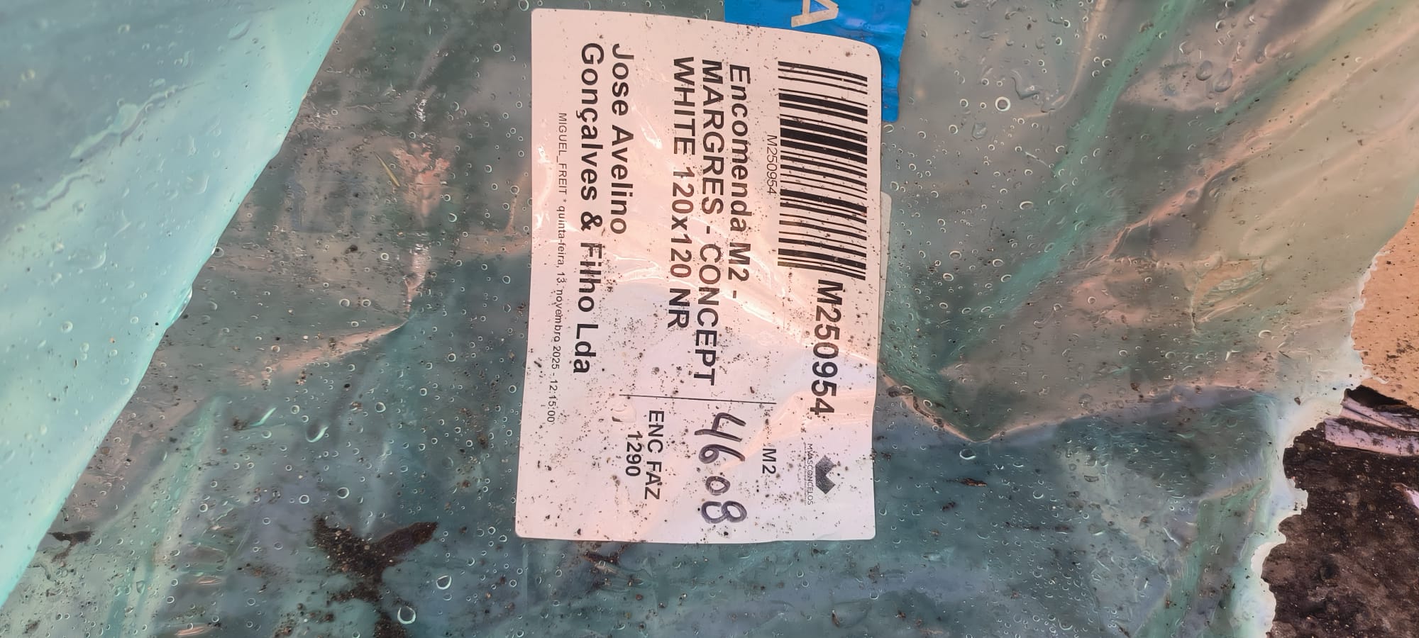 Fotos A Anexar: WhatsApp Image 2026 03 03 At 11.19.44 1