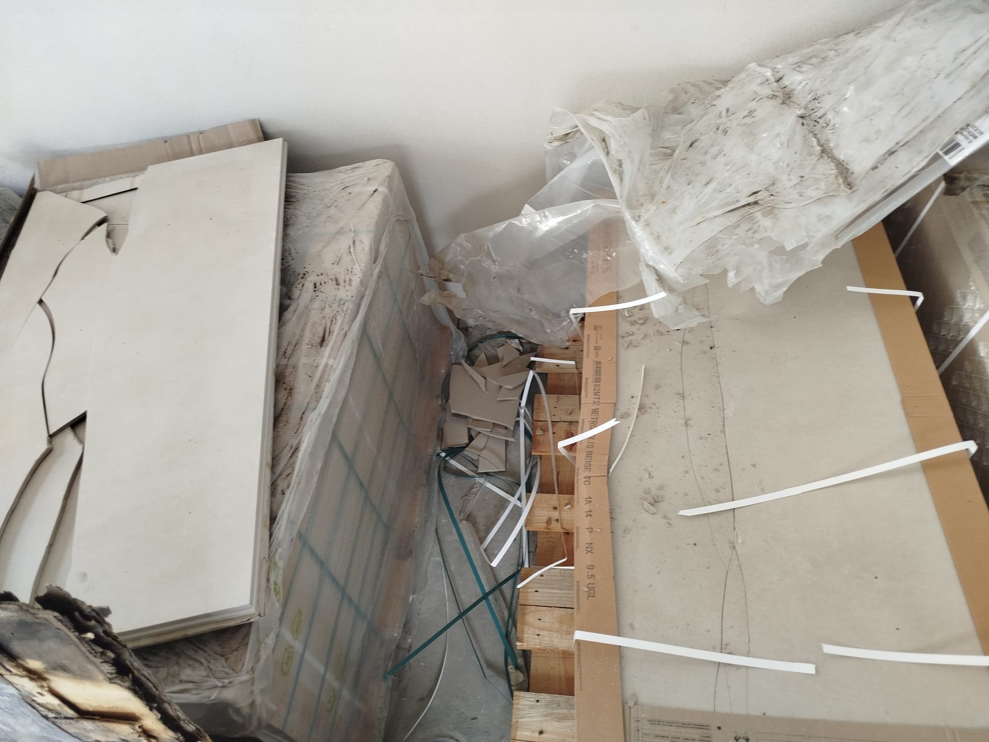 Fotos A Anexar: 0eee5dca Df3b 4b70 Afb1 15e17f240005